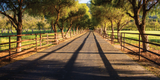 Medicare and Telehealth Visits